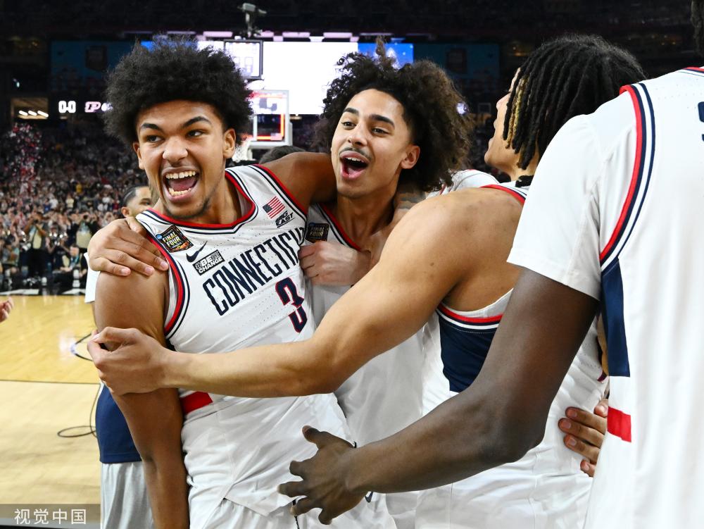 预测领域 预测领域